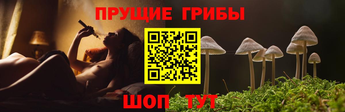 Тимашёвск  где купить наркоту  Вход с VPN  Галлюциногенные грибы мицелий 